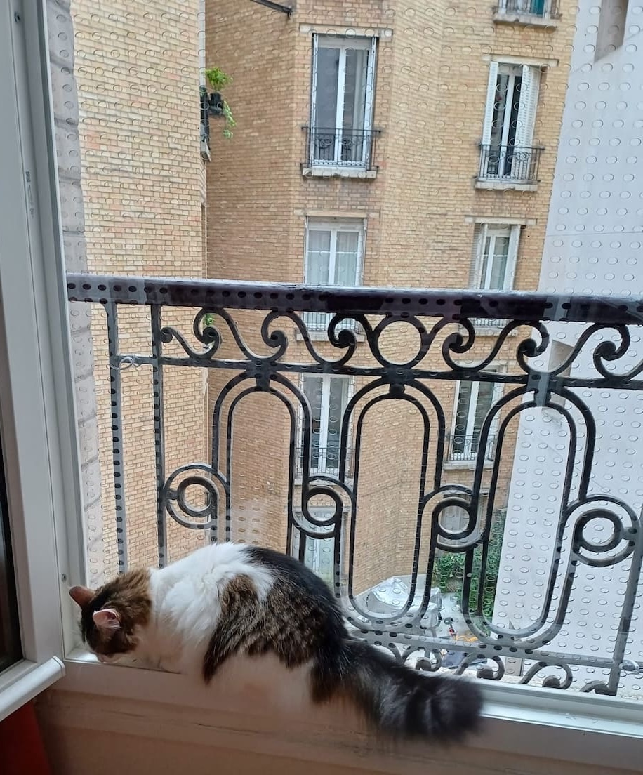 Photo client Catglass